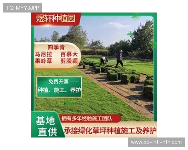 “巴黎王子公园球场草皮更换，采用最新混合草种技术”
